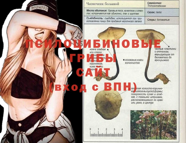 ПСИЛОЦИБИНОВЫЕ ГРИБЫ Бронницы