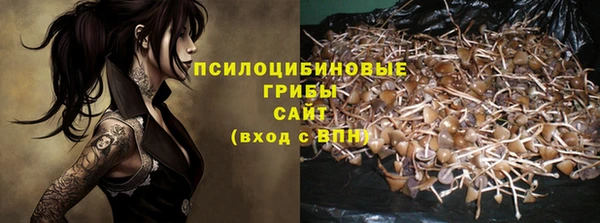 ПСИЛОЦИБИНОВЫЕ ГРИБЫ Бронницы