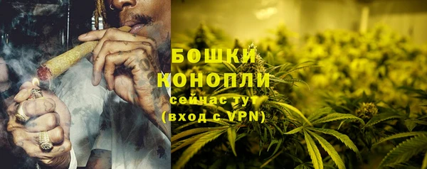 ПСИЛОЦИБИНОВЫЕ ГРИБЫ Бронницы