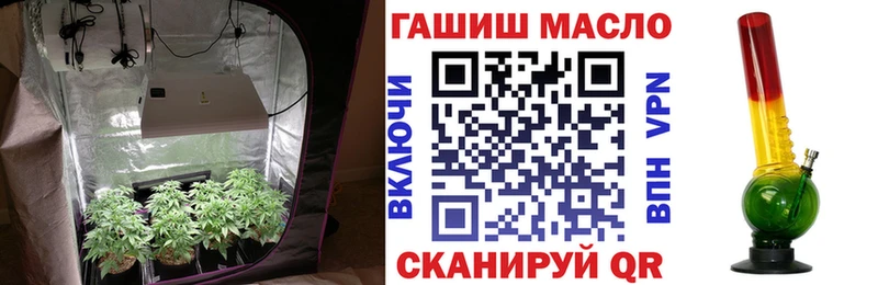 Дистиллят ТГК концентрат  купить наркотики цена  MEGA ссылки  Братск 