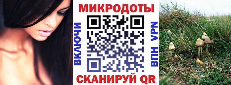 Галлюциногенные грибы Psilocybine cubensis Братск