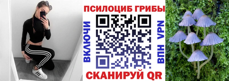закладки  Братск  Псилоцибиновые грибы прущие грибы 