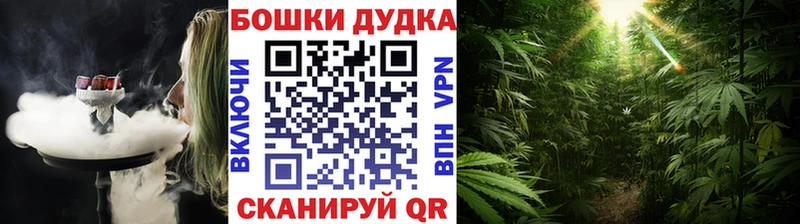 закладки  Братск  Шишки марихуана ГИДРОПОН 
